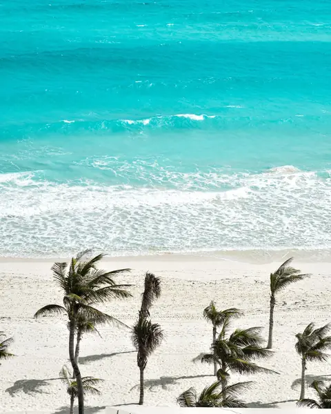 Mar azul-turquesa e coqueiros na areia branca de Cancún
